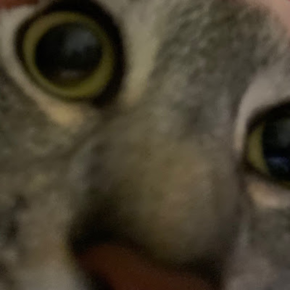 Meet your Posher, Sid